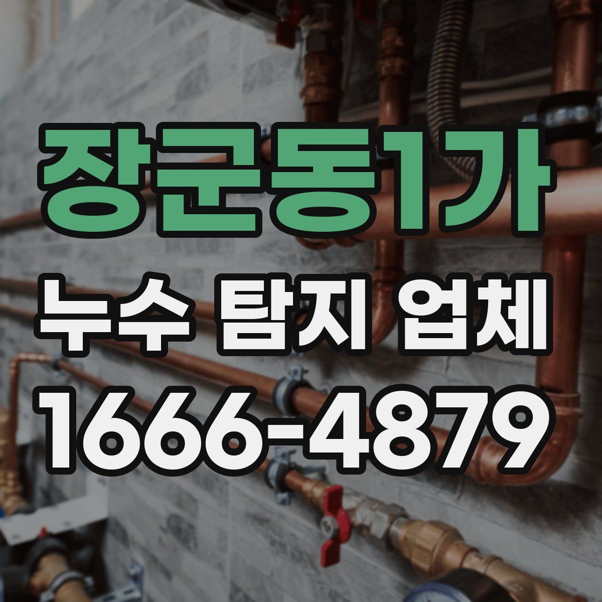 장군동1가 누수 탐지 업체