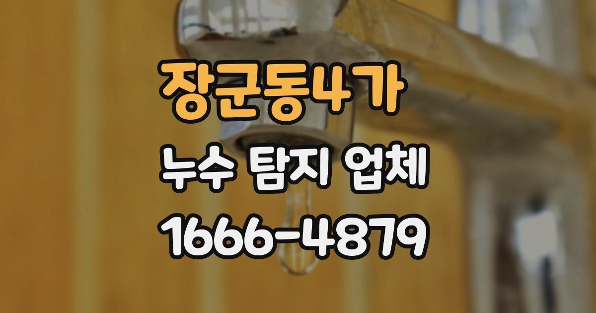 장군동4가 누수 탐지 업체