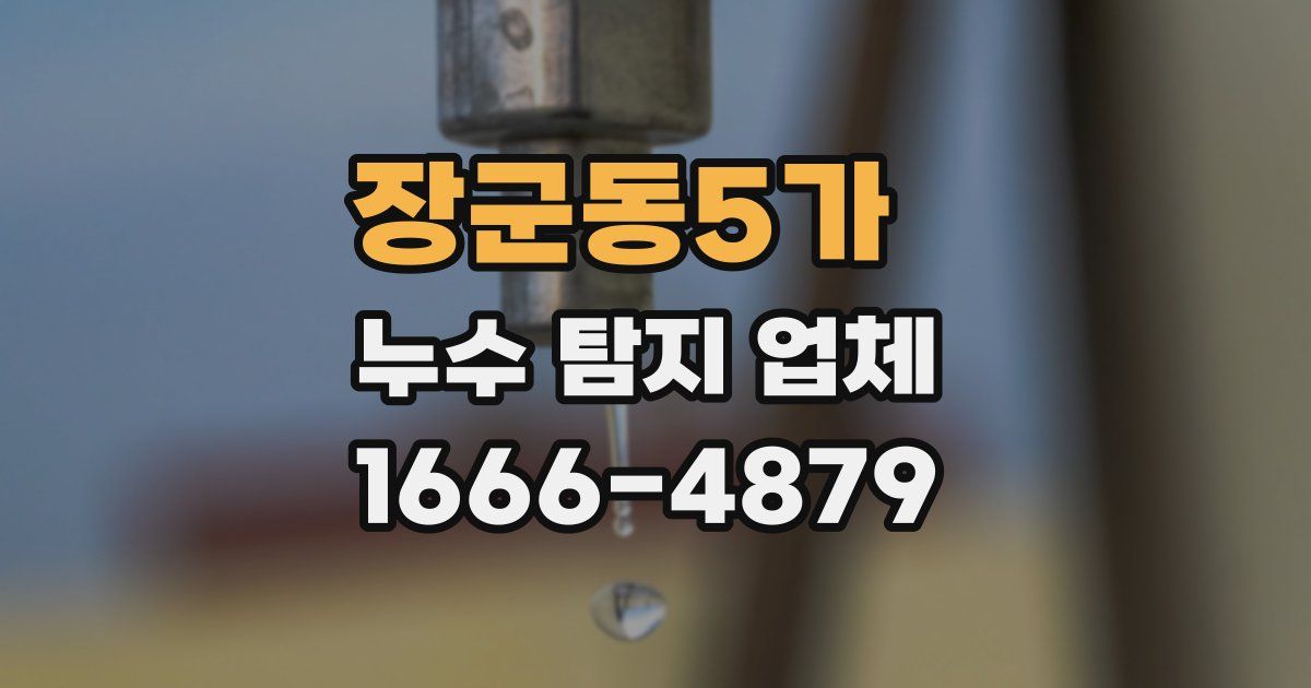 장군동5가 누수 탐지 업체