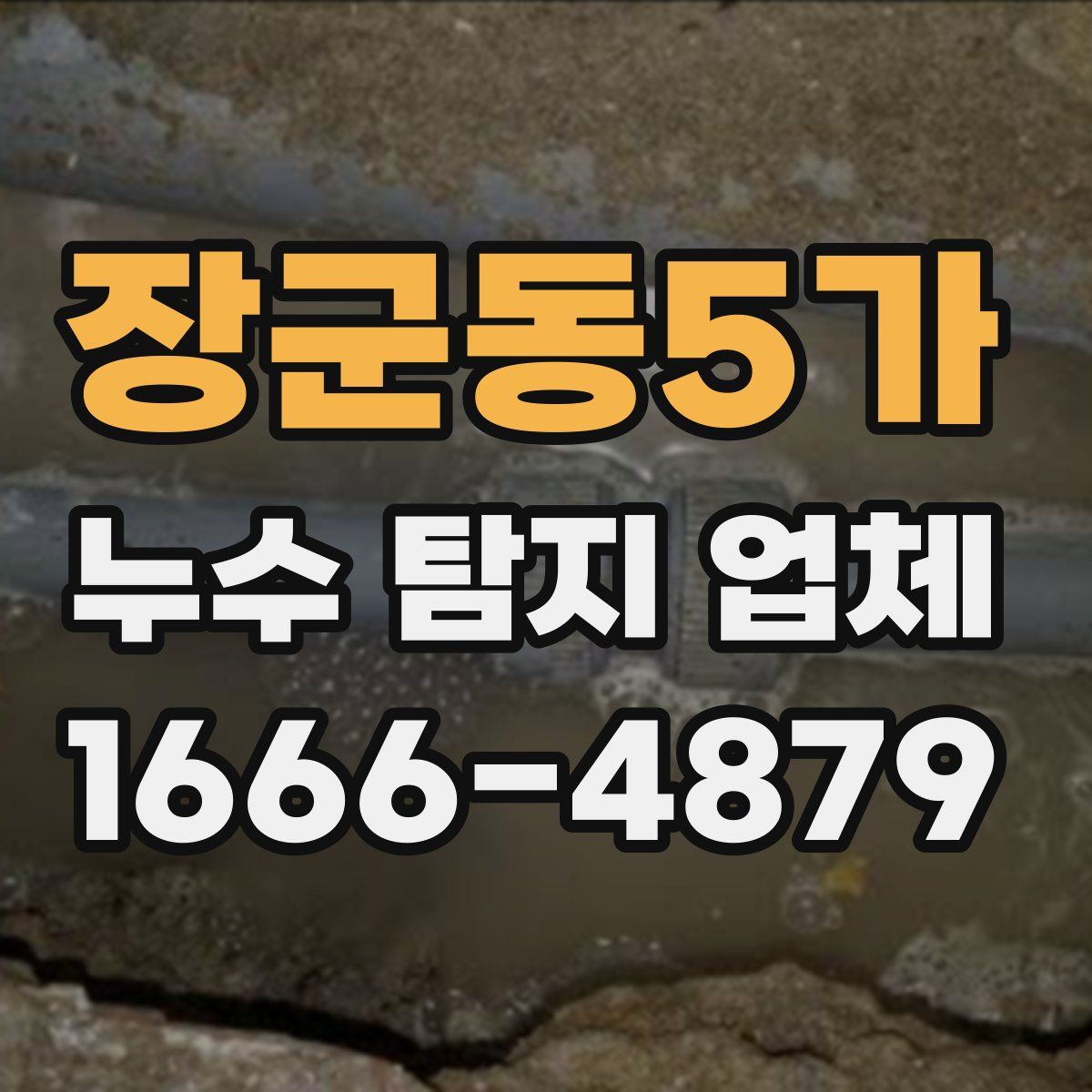 장군동5가 누수 탐지 업체