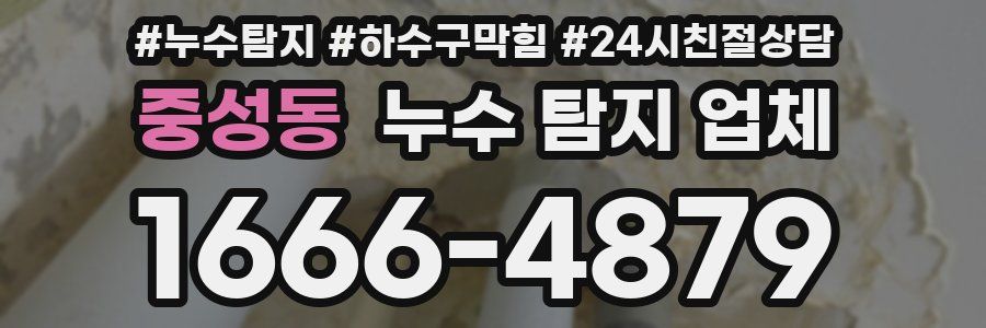 중성동 누수 탐지 업체