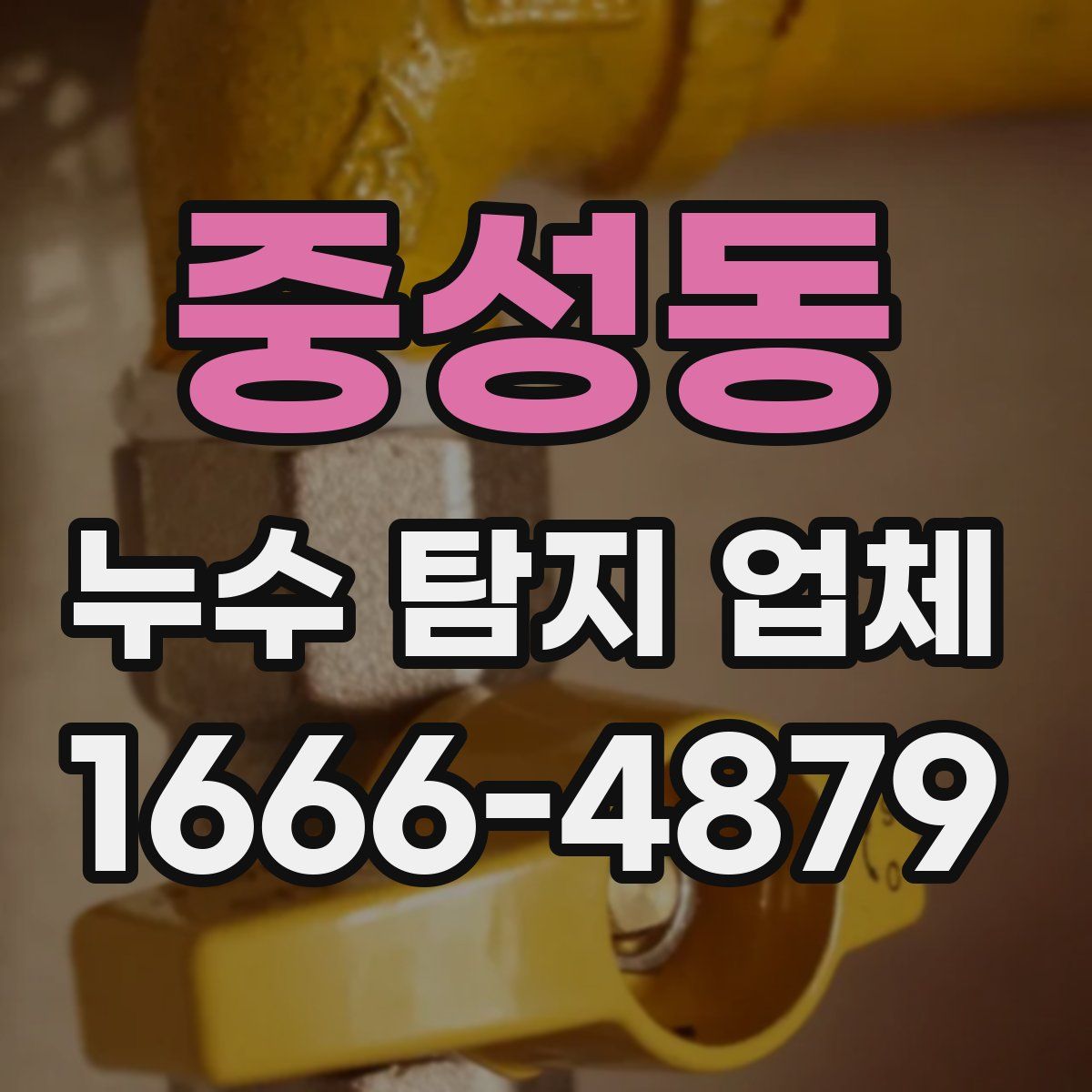 중성동 누수 탐지 업체