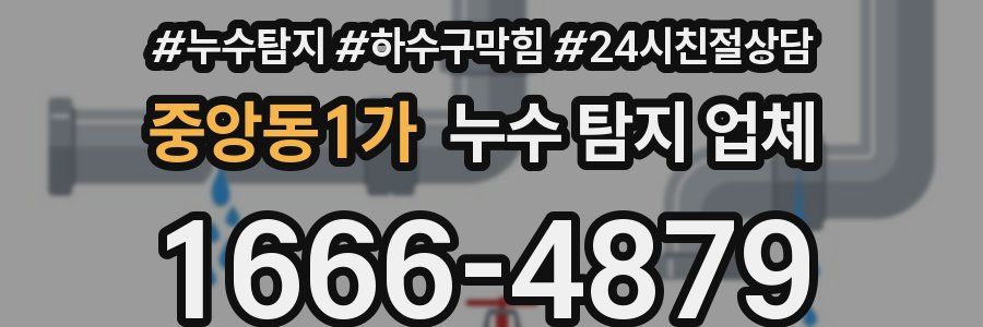 중앙동1가 누수 탐지 업체