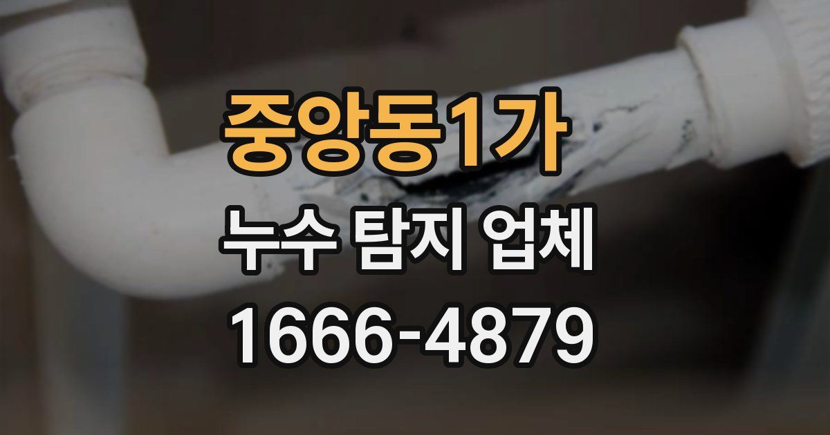 중앙동1가 누수 탐지 업체