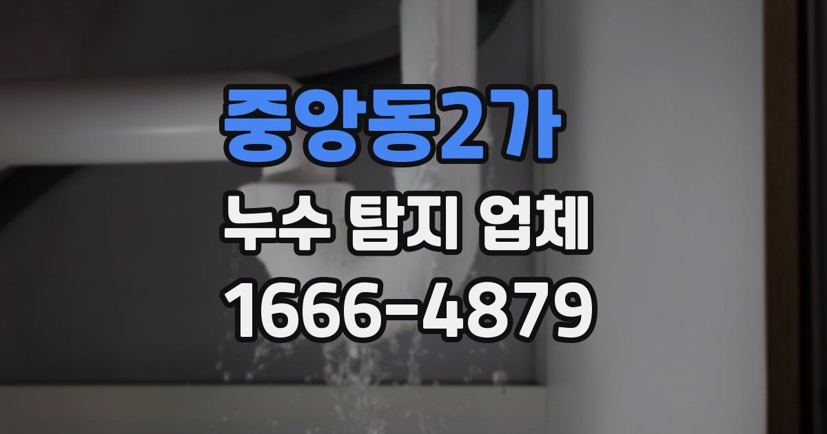 중앙동2가 누수 탐지 업체