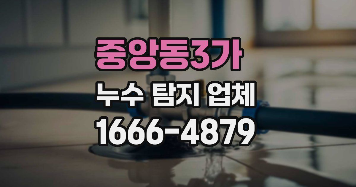 중앙동3가 누수 탐지 업체