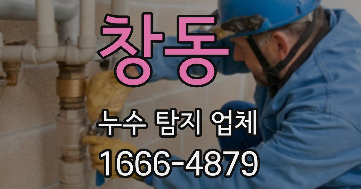 창동 누수 탐지 업체