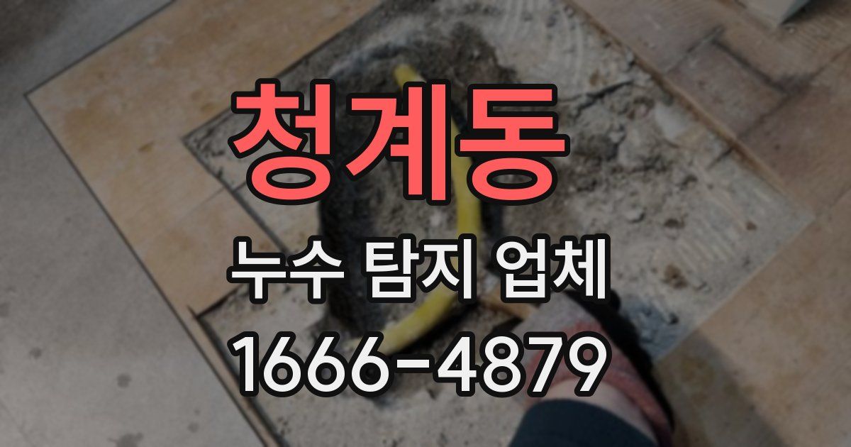 청계동 누수 탐지 업체