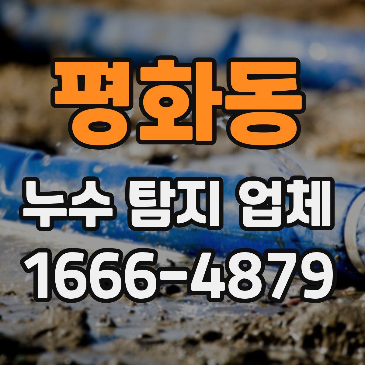 평화동 누수 탐지 업체