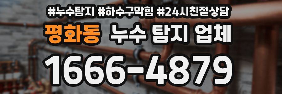 평화동 누수 탐지 업체
