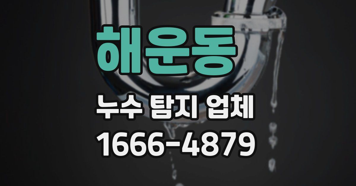해운동 누수 탐지 업체