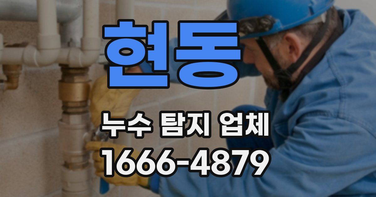현동 누수 탐지 업체