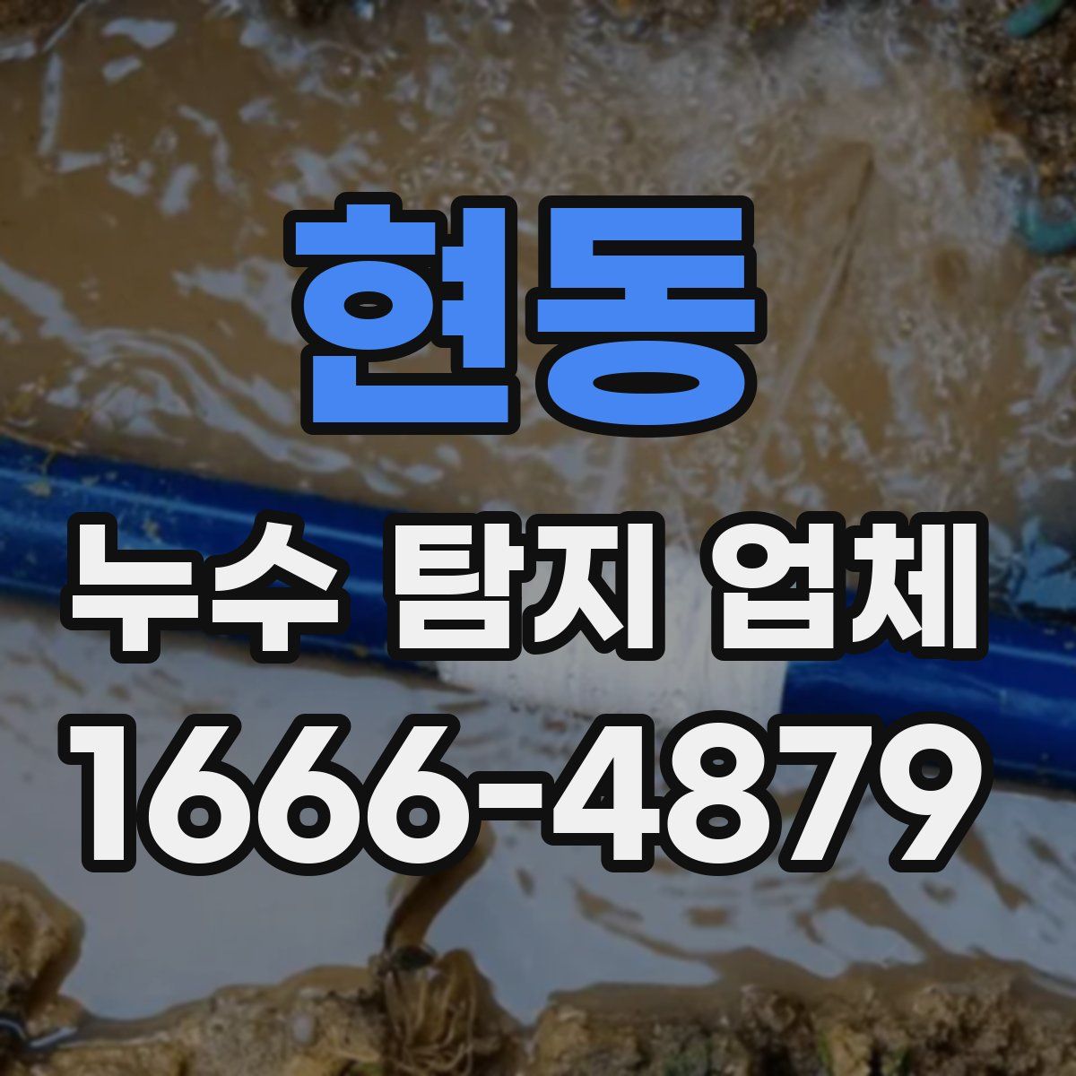현동 누수 탐지 업체