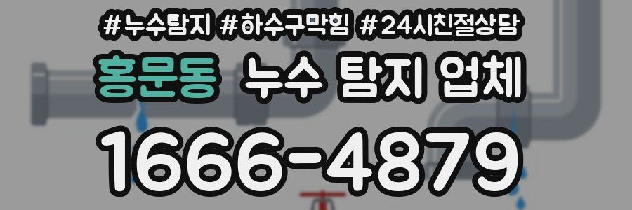 홍문동 누수 탐지 업체
