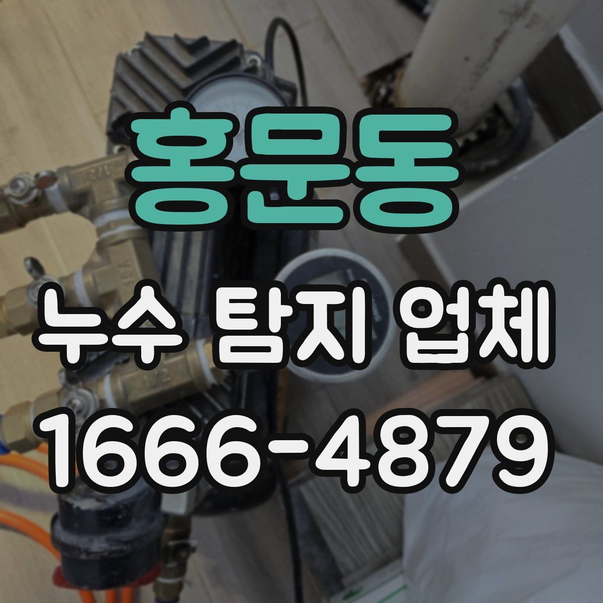 홍문동 누수 탐지 업체