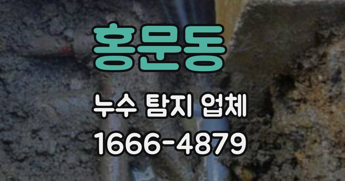 홍문동 누수 탐지 업체