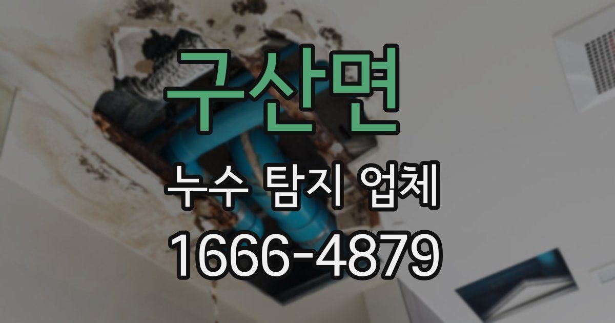 구산면 누수 탐지 업체