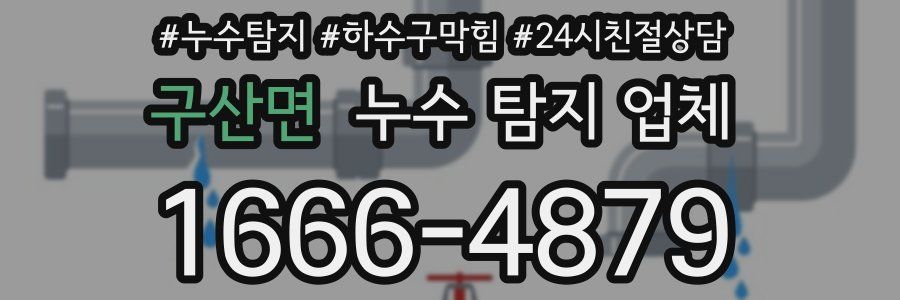 구산면 누수 탐지 업체