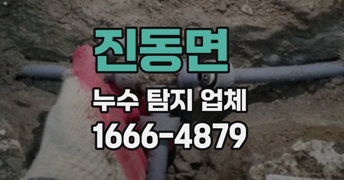 진동면 누수 탐지 업체