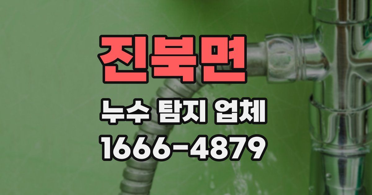 진북면 누수 탐지 업체