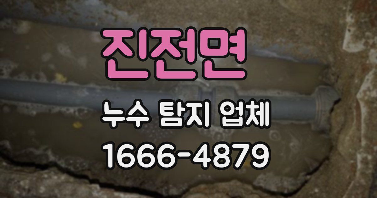 진전면 누수 탐지 업체