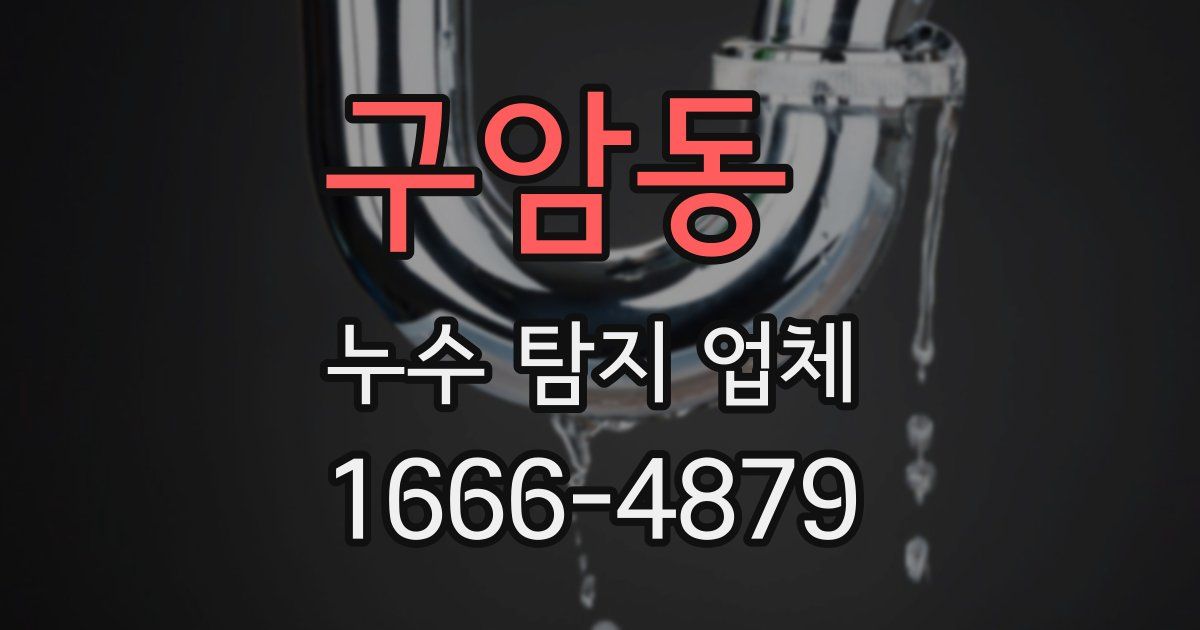 구암동 누수 탐지 업체