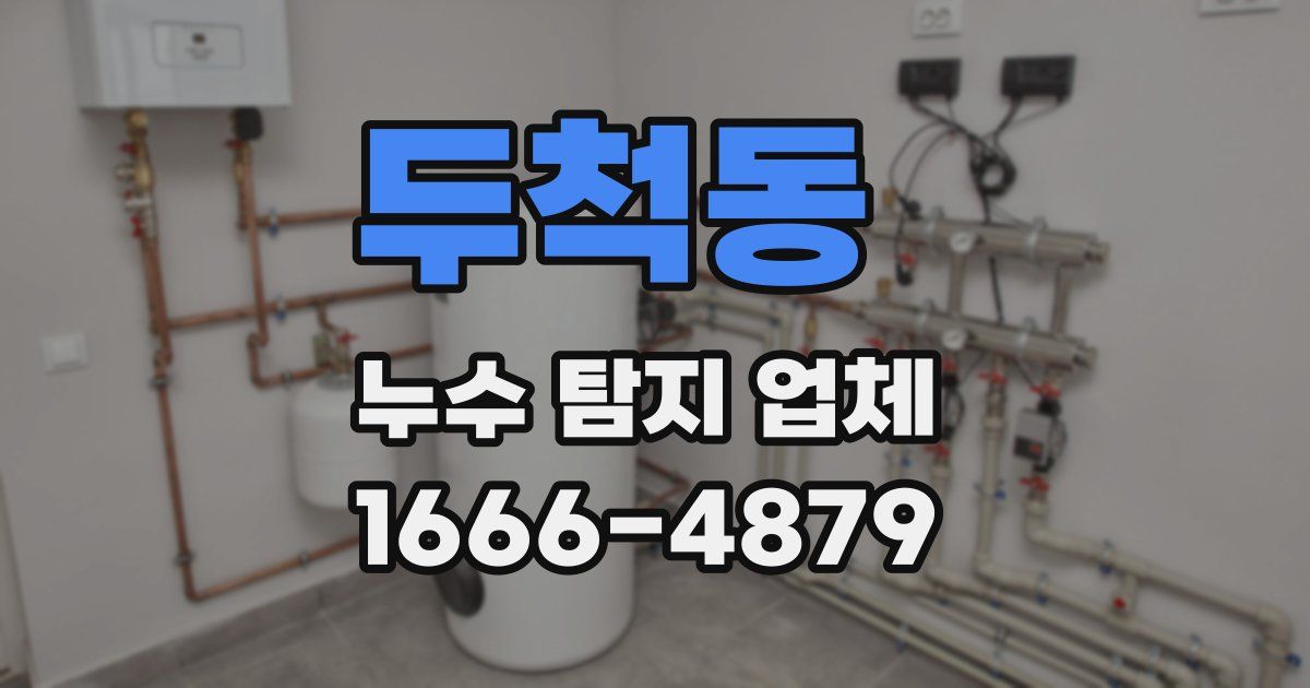 두척동 누수 탐지 업체