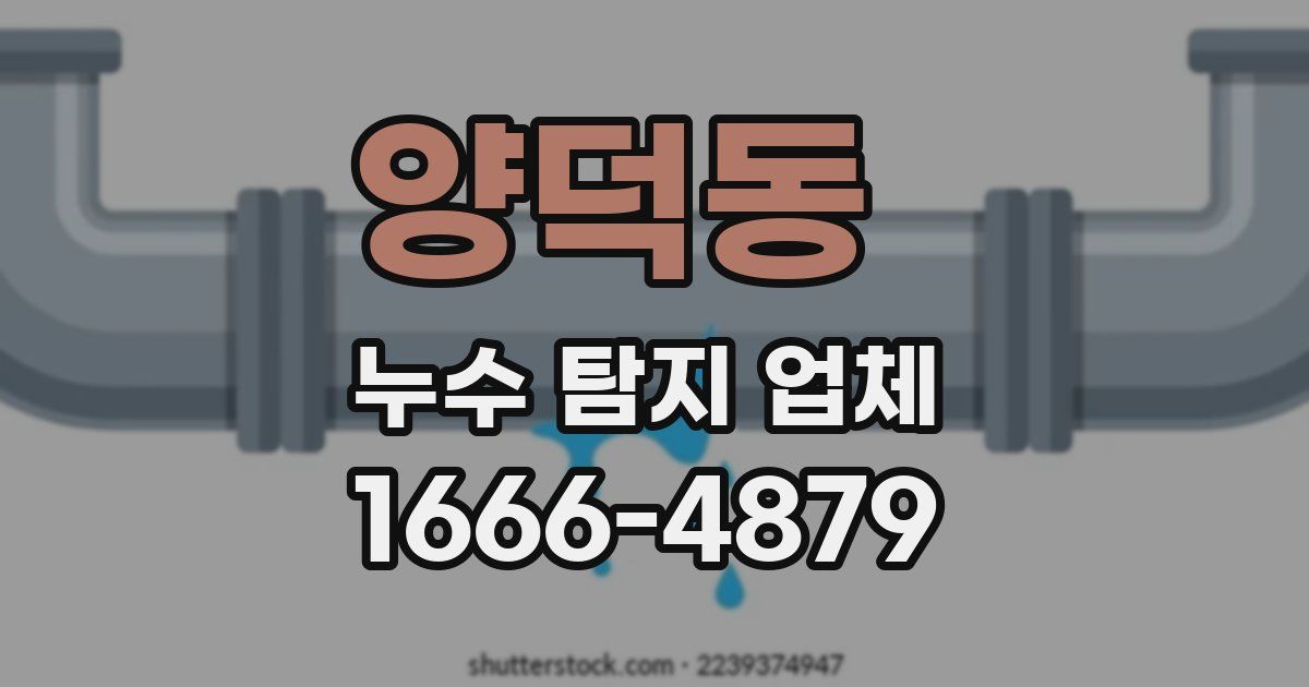 양덕동 누수 탐지 업체