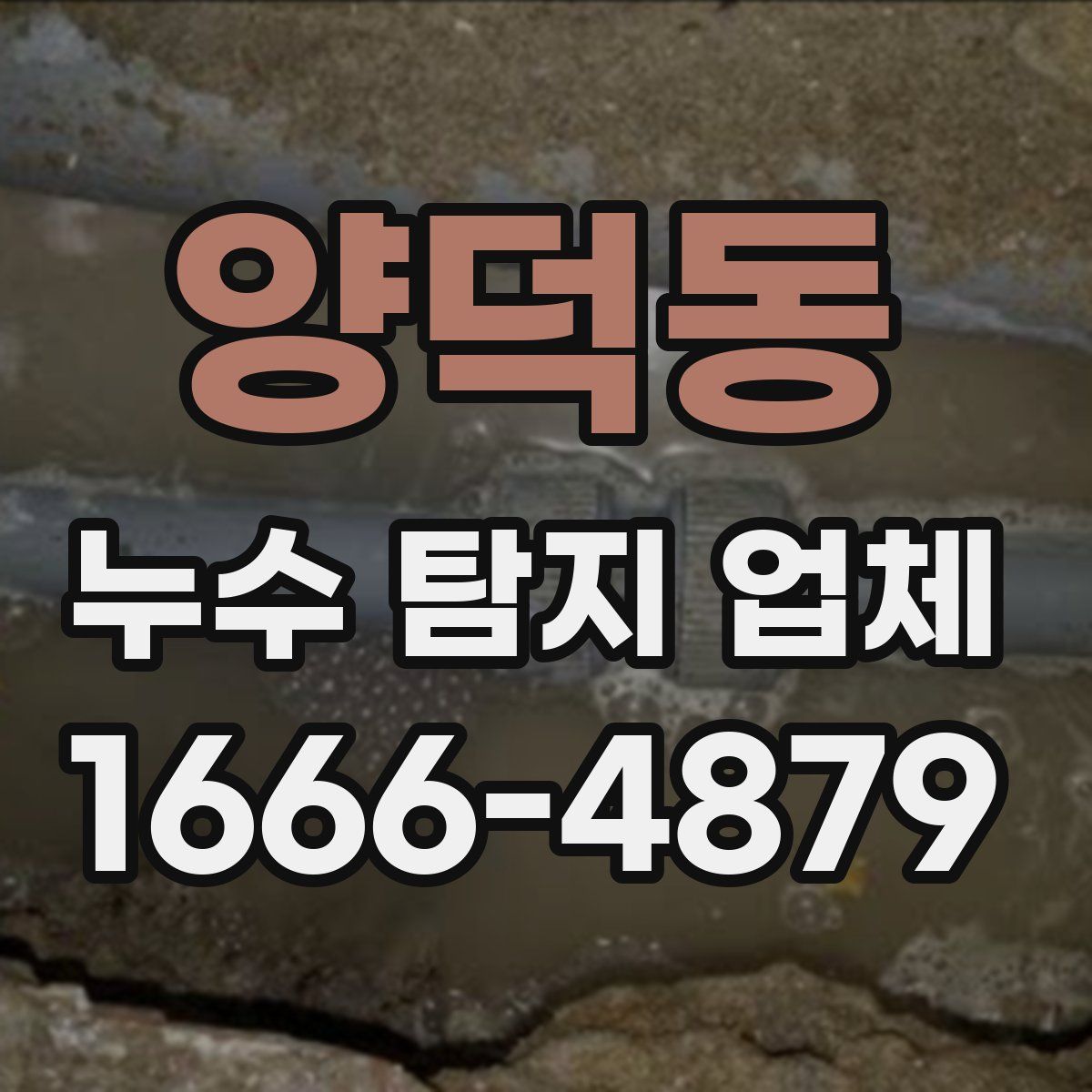 양덕동 누수 탐지 업체