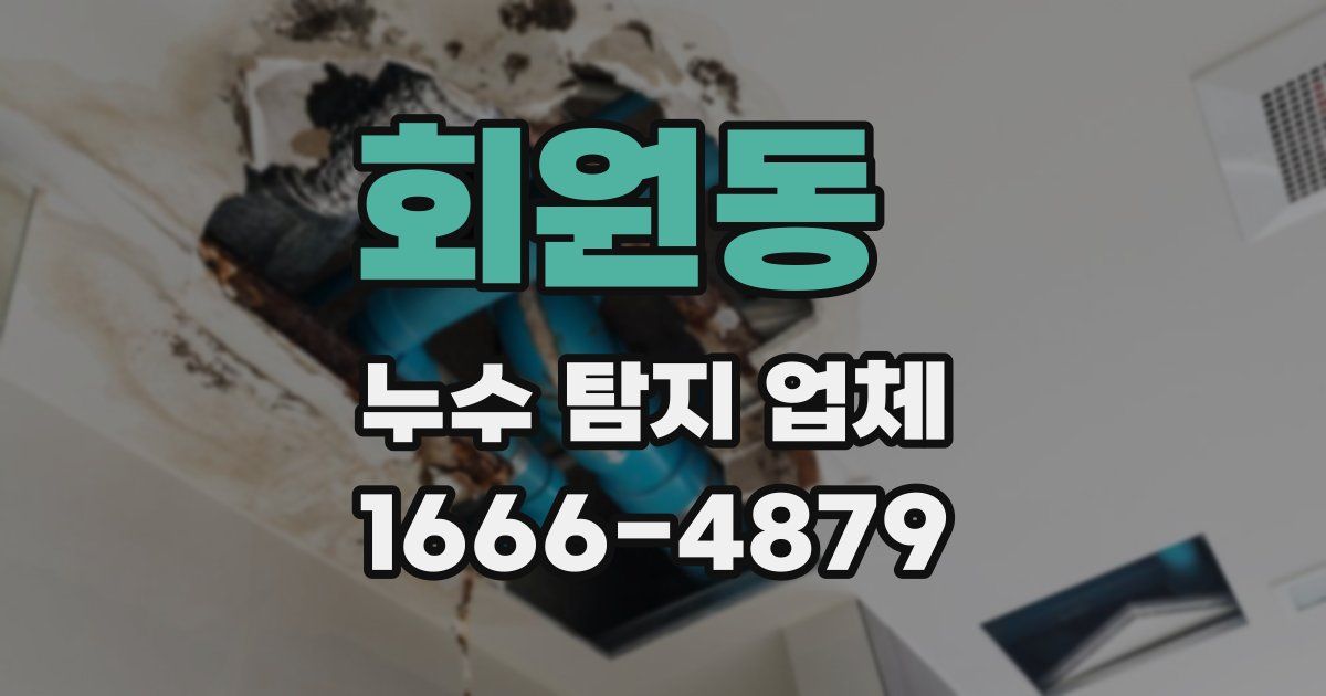 회원동 누수 탐지 업체