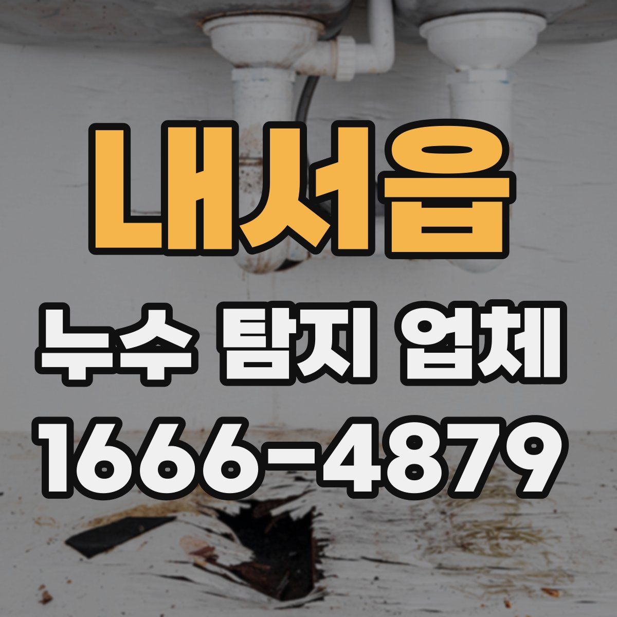 내서읍 누수 탐지 업체