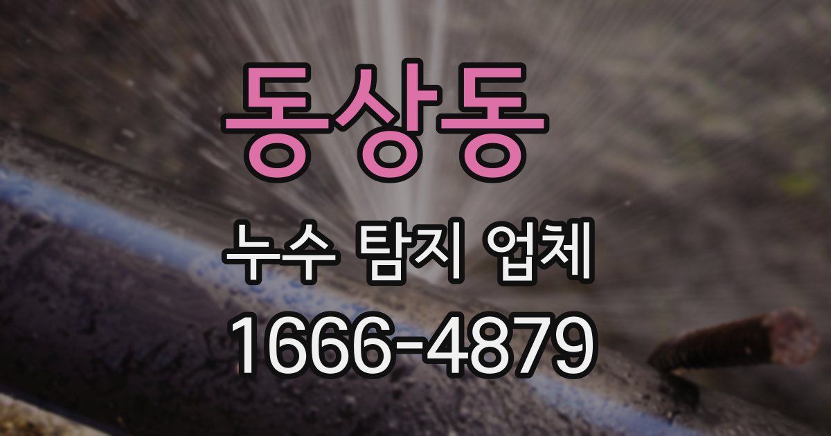 동상동 누수 탐지 업체