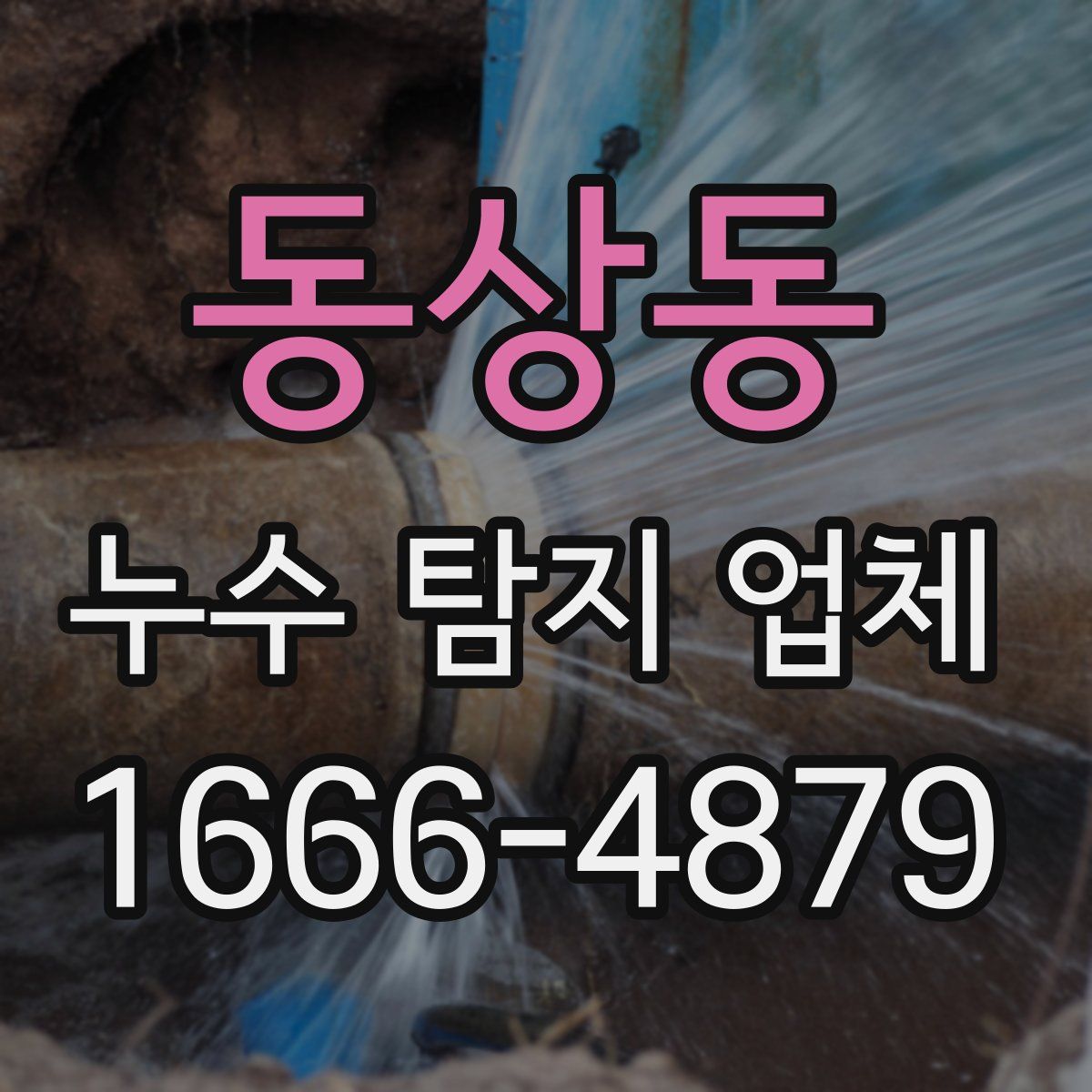 동상동 누수 탐지 업체