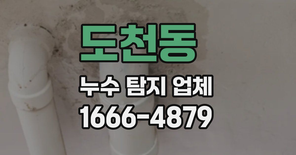 도천동 누수 탐지 업체