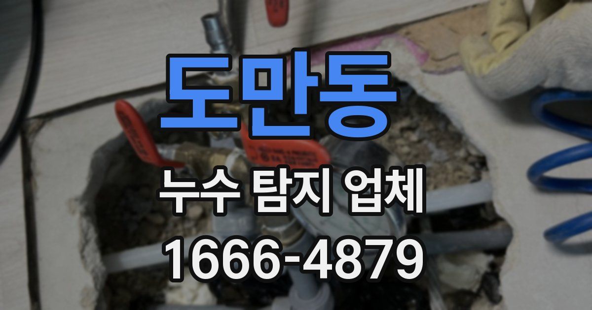 도만동 누수 탐지 업체
