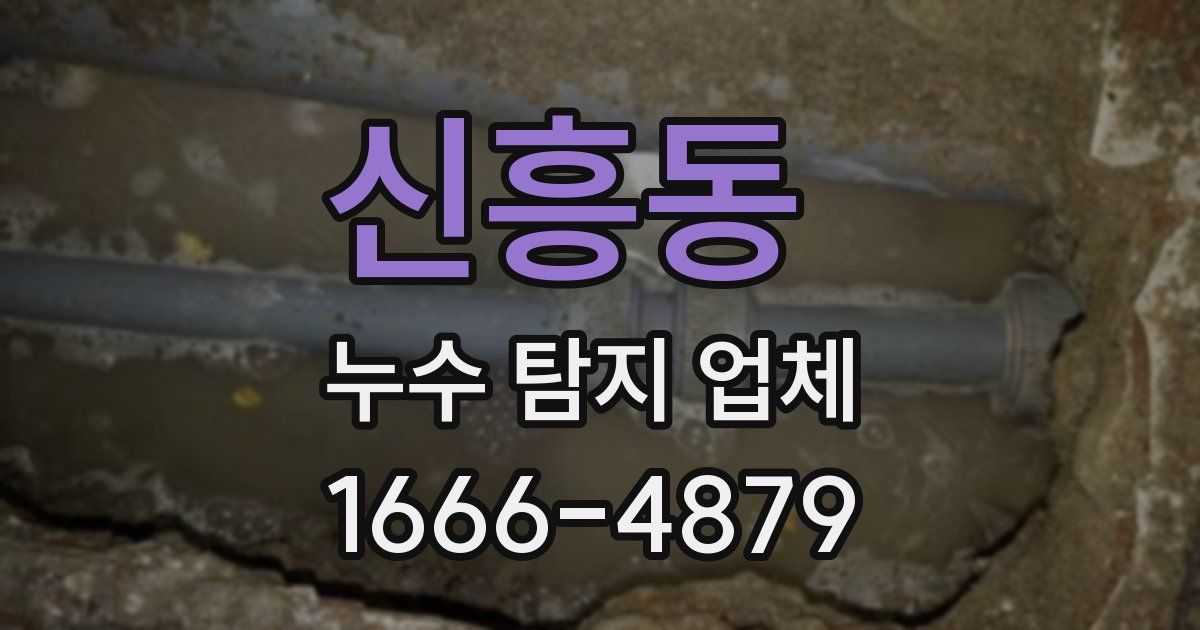 신흥동 누수 탐지 업체