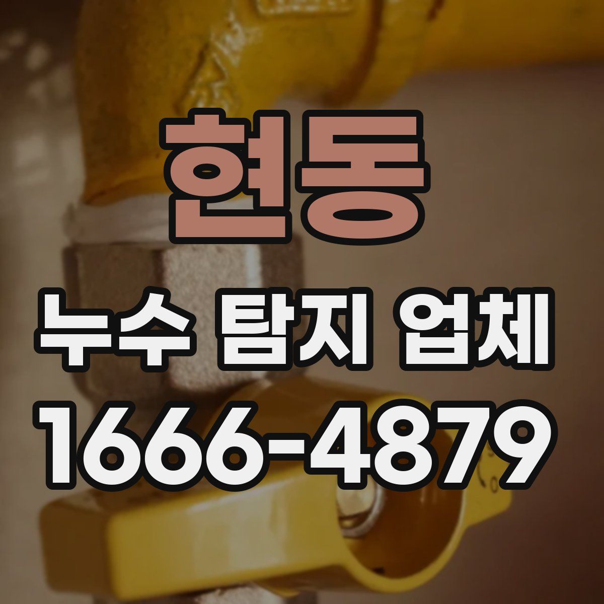 현동 누수 탐지 업체