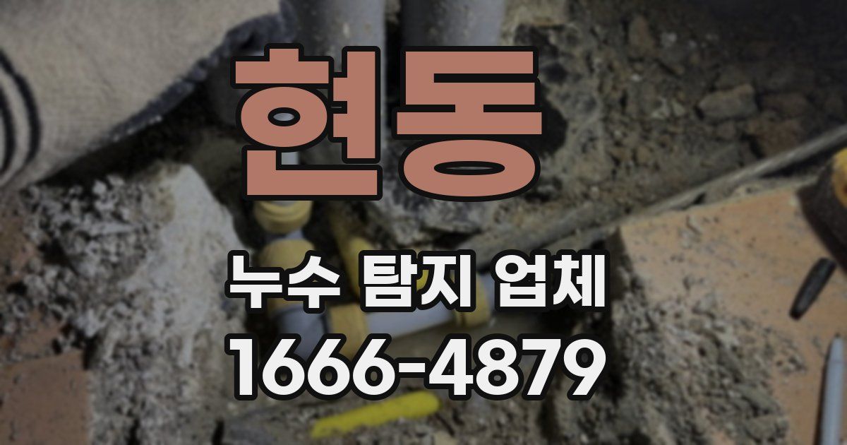 현동 누수 탐지 업체