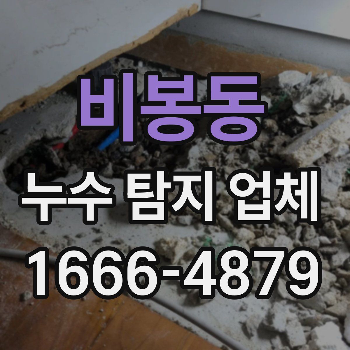 비봉동 누수 탐지 업체