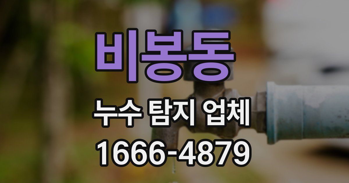 비봉동 누수 탐지 업체
