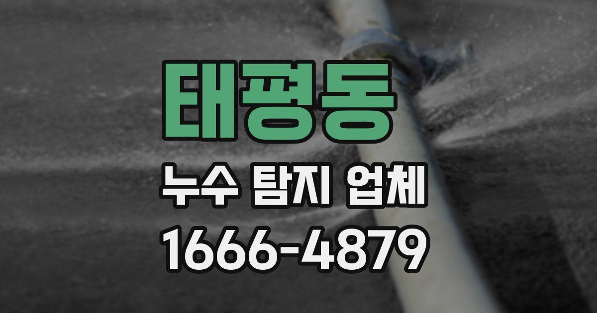 태평동 누수 탐지 업체