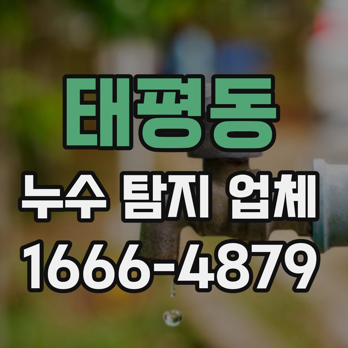태평동 누수 탐지 업체