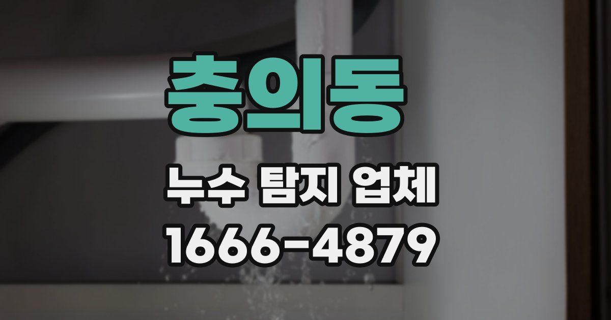 충의동 누수 탐지 업체