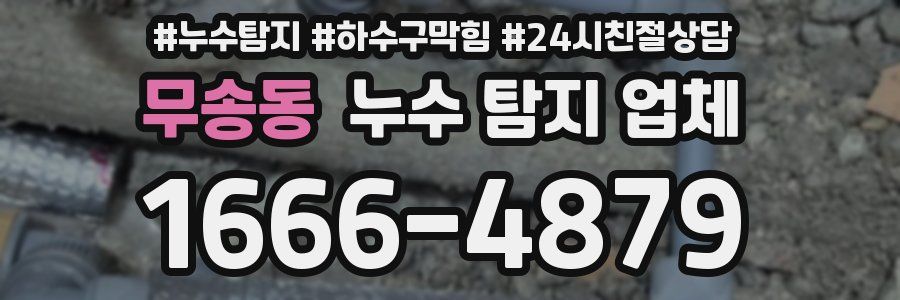 무송동 누수 탐지 업체