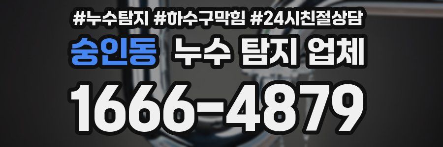 숭인동 누수 탐지 업체