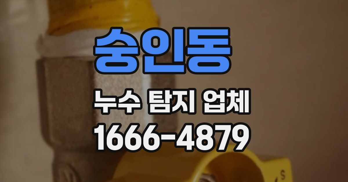 숭인동 누수 탐지 업체