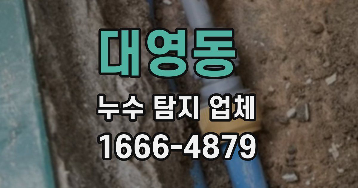대영동 누수 탐지 업체