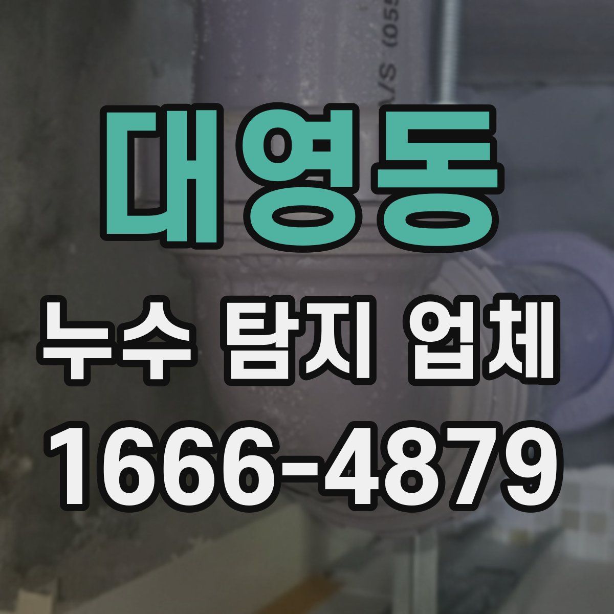 대영동 누수 탐지 업체