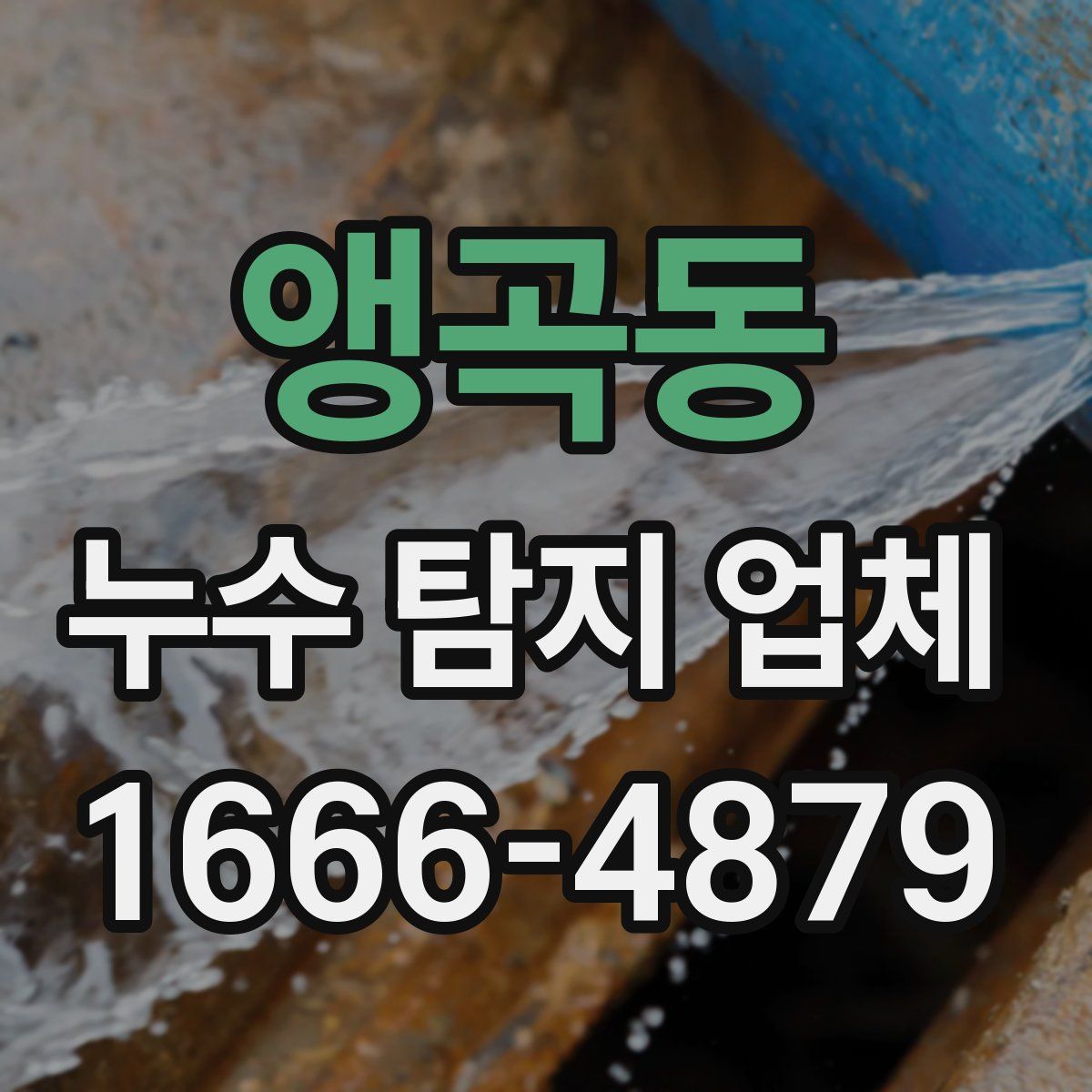 앵곡동 누수 탐지 업체