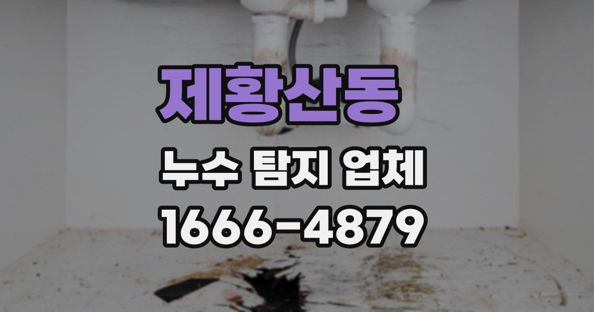 제황산동 누수 탐지 업체